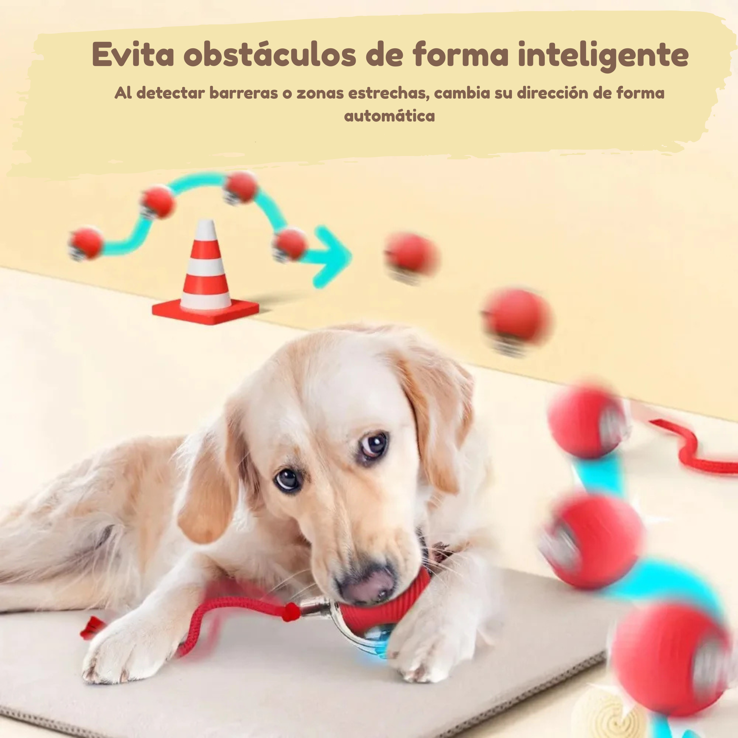 Pelota Anti-Aburrimiento